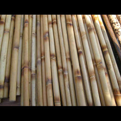 Practice Weapons