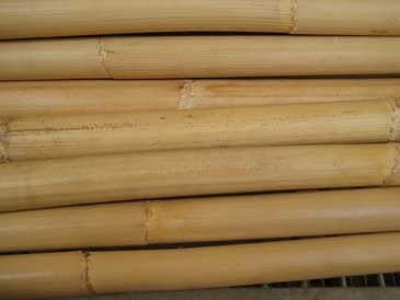 28" Kid Stick (Raw Rattan) Filipino Fighting Stick - Eskrima, Kali, Arnis, Baston de Mano - Valley Martial Arts Supply
