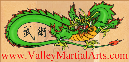 Valley Martial Arts Supply